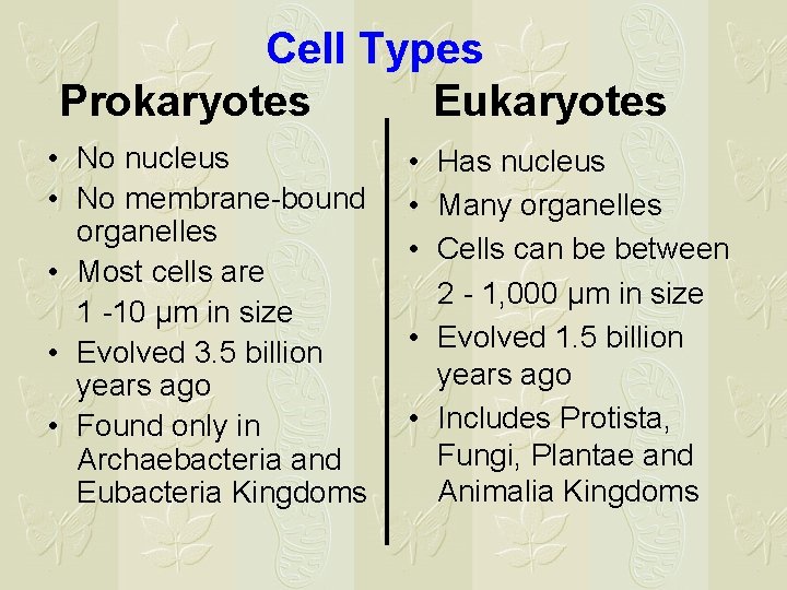 Cell Types Prokaryotes Eukaryotes • No nucleus • No membrane-bound organelles • Most cells