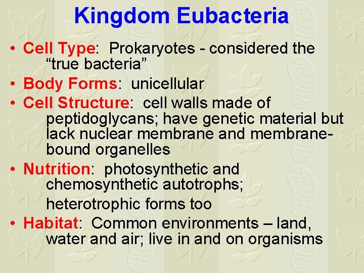 Kingdom Eubacteria • Cell Type: Prokaryotes - considered the “true bacteria” • Body Forms: