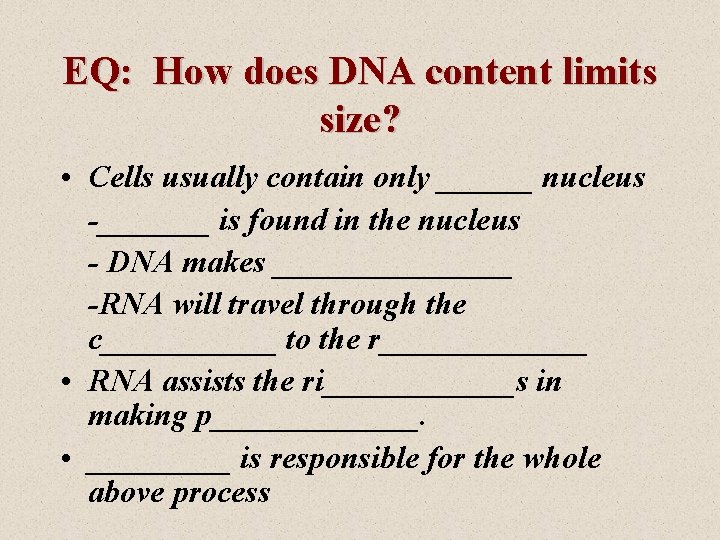 EQ: How does DNA content limits size? • Cells usually contain only ______ nucleus