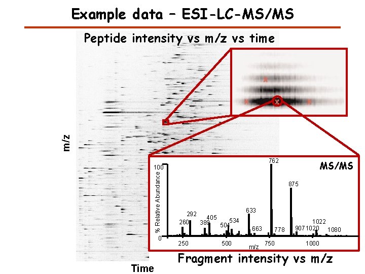 Example data – ESI-LC-MS/MS m/z Peptide intensity vs m/z vs time 762 % Relative