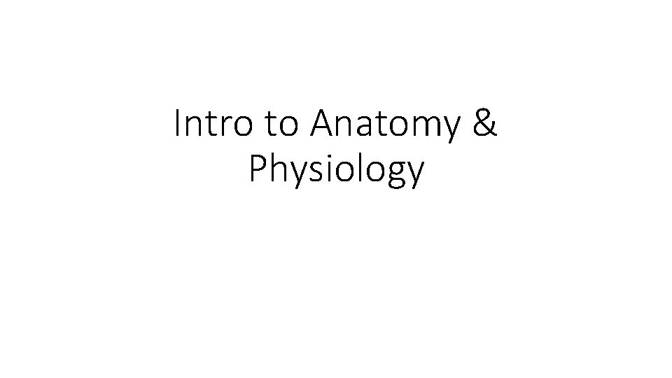 Intro to Anatomy & Physiology 