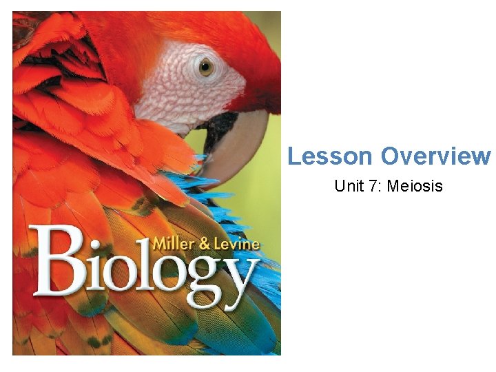 Lesson Overview Unit 7: Meiosis 