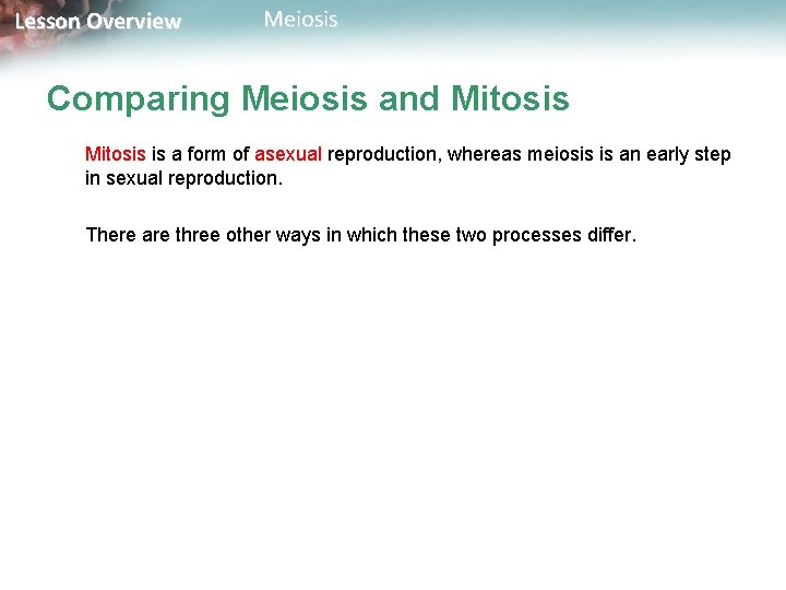 Lesson Overview Meiosis Comparing Meiosis and Mitosis is a form of asexual reproduction, whereas