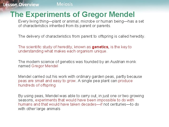 Lesson Overview Meiosis The Experiments of Gregor Mendel Every living thing—plant or animal, microbe