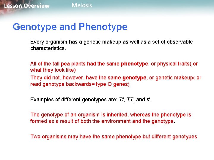 Lesson Overview Meiosis Genotype and Phenotype Every organism has a genetic makeup as well