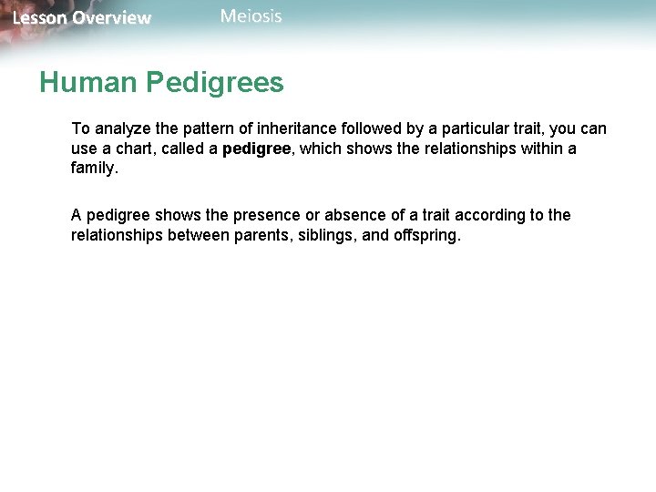 Lesson Overview Meiosis Human Pedigrees To analyze the pattern of inheritance followed by a