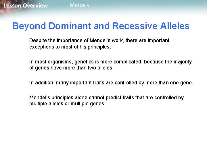 Lesson Overview Meiosis Beyond Dominant and Recessive Alleles Despite the importance of Mendel’s work,