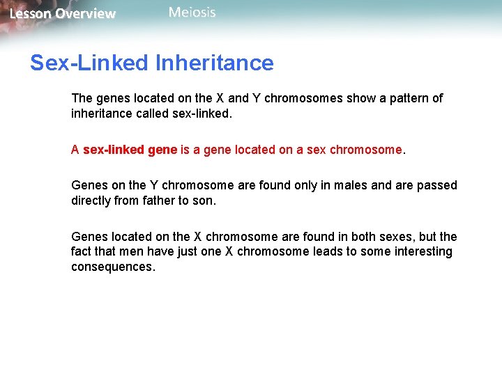 Lesson Overview Meiosis Sex-Linked Inheritance The genes located on the X and Y chromosomes