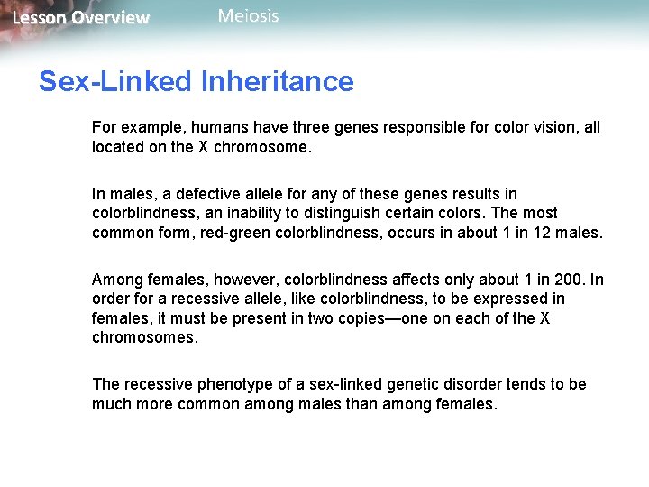 Lesson Overview Meiosis Sex-Linked Inheritance For example, humans have three genes responsible for color