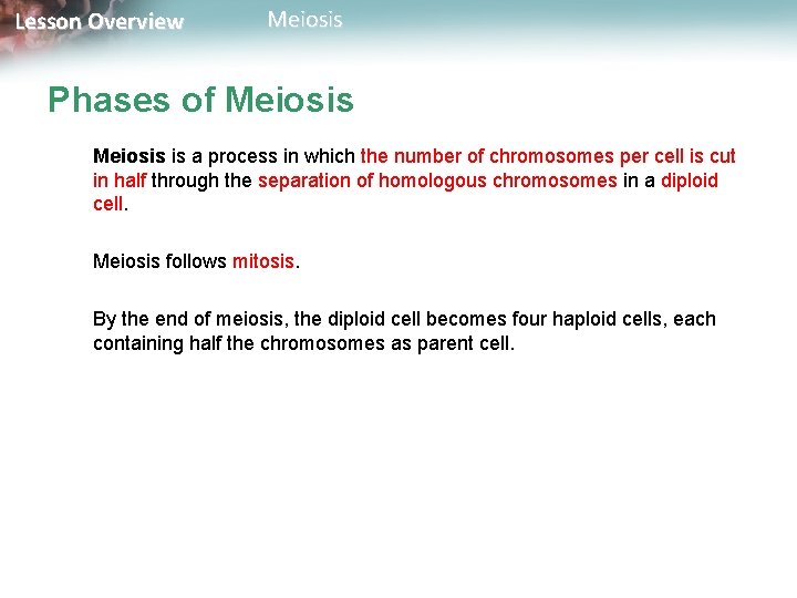 Lesson Overview Meiosis Phases of Meiosis is a process in which the number of