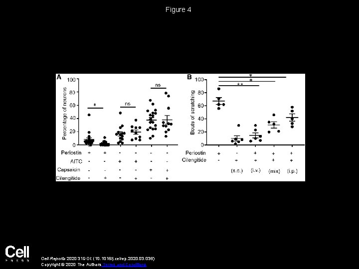 Figure 4 Cell Reports 2020 31 DOI: (10. 1016/j. celrep. 2020. 036) Copyright ©