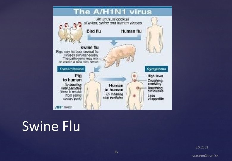 Swine Flu 8. 9. 2021 16 rusnakm@truni. sk 