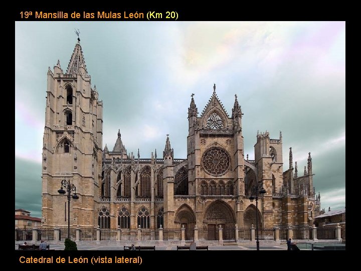 19ª Mansilla de las Mulas León (Km 20) Catedral de León (vista lateral) 