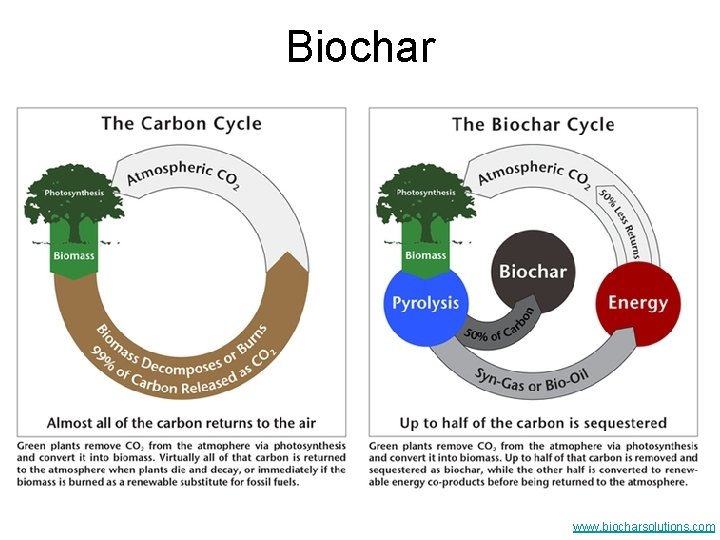 Biochar www. biocharsolutions. com 