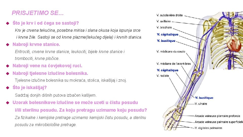 PRISJETIMO SE… Što je krv i od čega se sastoji? Krv je crvena tekućina,