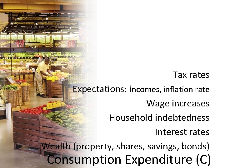 Tax rates Expectations: incomes, inflation rate Wage increases Household indebtedness Interest rates Wealth (property,