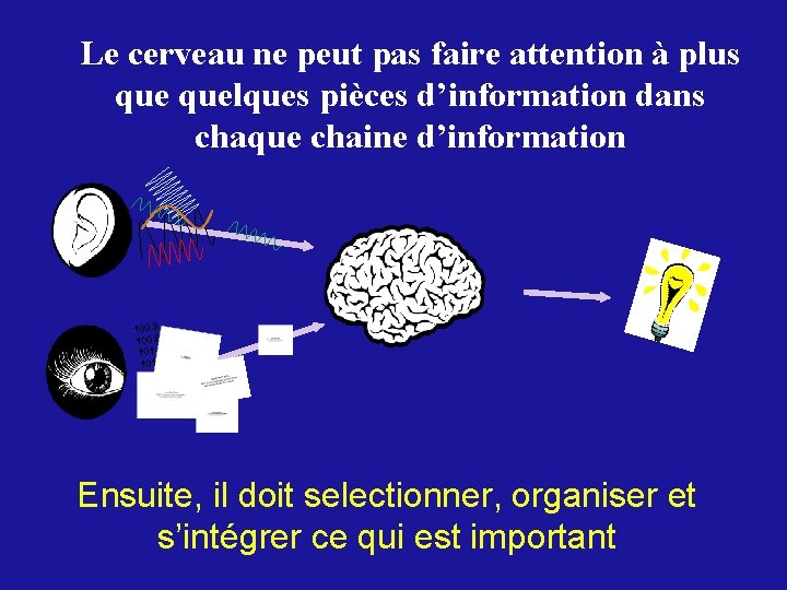 Le cerveau ne peut pas faire attention à plus quelques pièces d’information dans chaque