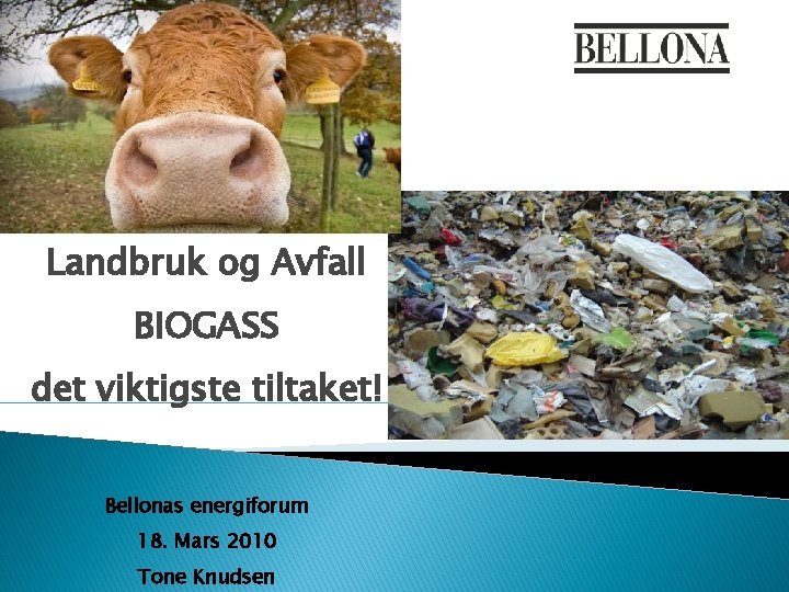 Landbruk og Avfall BIOGASS det viktigste tiltaket! Bellonas energiforum 18. Mars 2010 Tone Knudsen