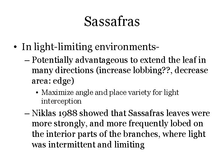 Sassafras • In light-limiting environments– Potentially advantageous to extend the leaf in many directions