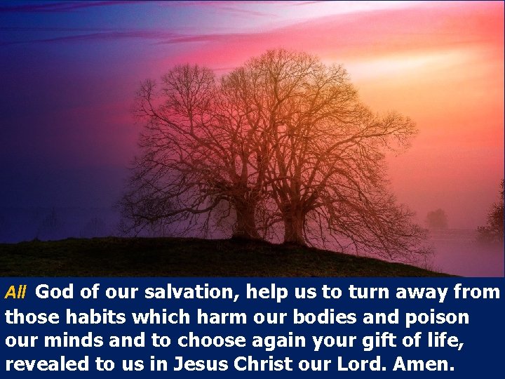 All God of our salvation, help us to turn away from those habits which