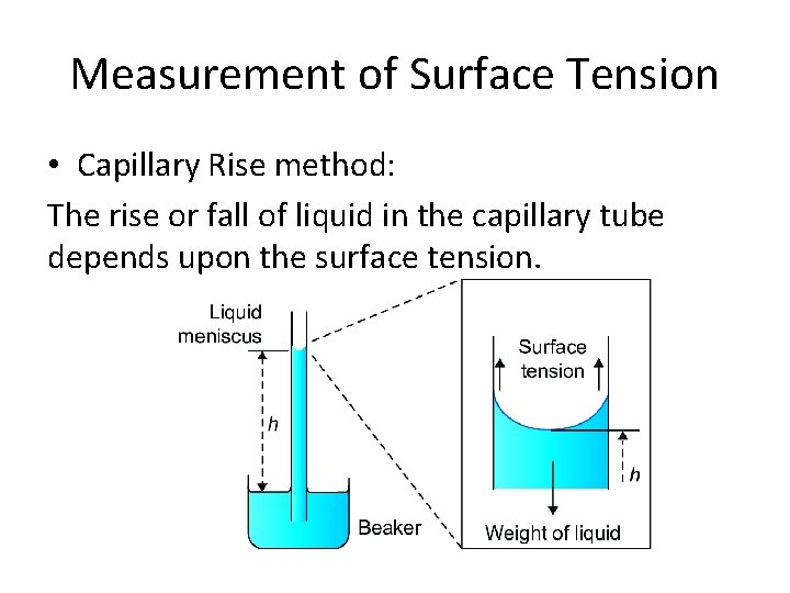 Measurement of Surface Tension • Capillary Rise method: The rise or fall of liquid