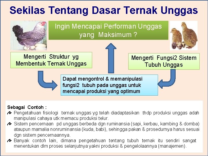 Sekilas Tentang Dasar Ternak Unggas Ingin Mencapai Performan Unggas yang Maksimum ? Mengerti Struktur