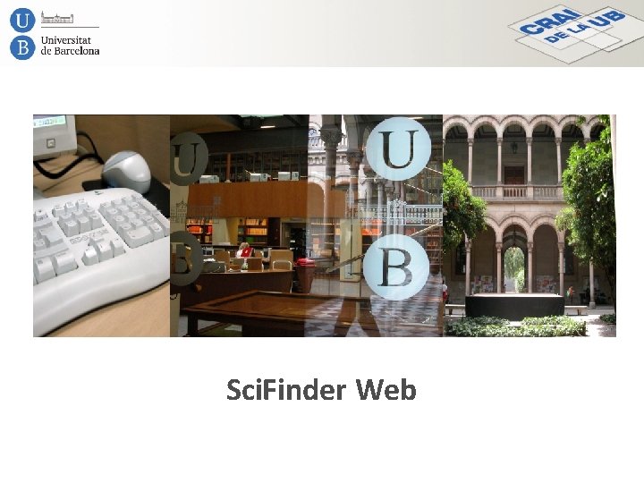Sci. Finder Web 