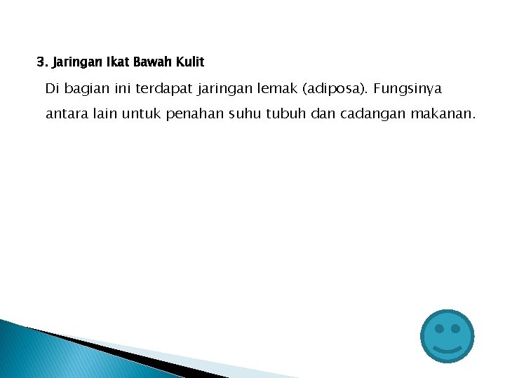 3. Jaringan Ikat Bawah Kulit Di bagian ini terdapat jaringan lemak (adiposa). Fungsinya antara