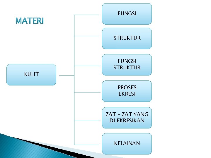 FUNGSI STRUKTUR KULIT FUNGSI STRUKTUR PROSES EKRESI ZAT – ZAT YANG DI EKRESIKAN KELAINAN