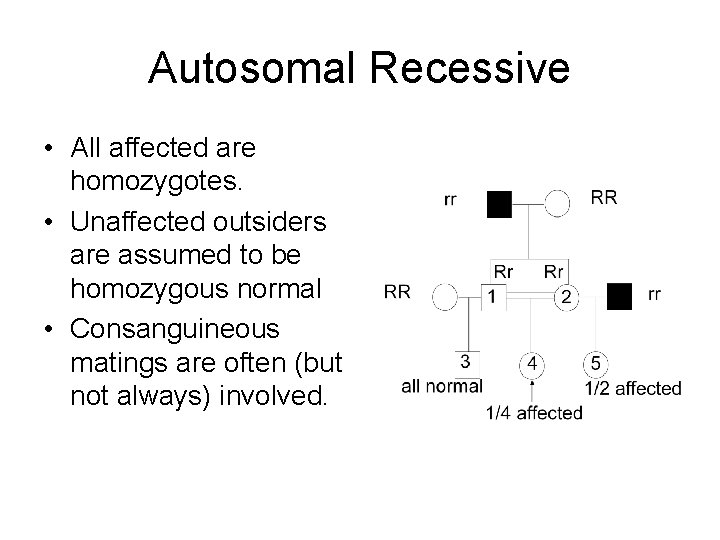 Autosomal Recessive • All affected are homozygotes. • Unaffected outsiders are assumed to be