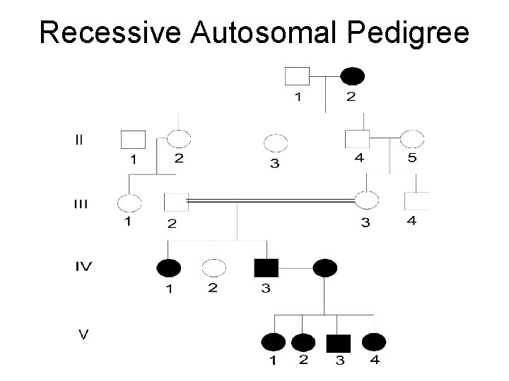 Recessive Autosomal Pedigree 