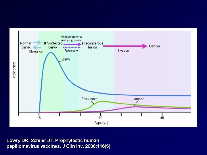 Lowry DR, Schiler JT. Prophylactic human papillomavirus vaccines. J Clin Inv. 2006; 116(5) 