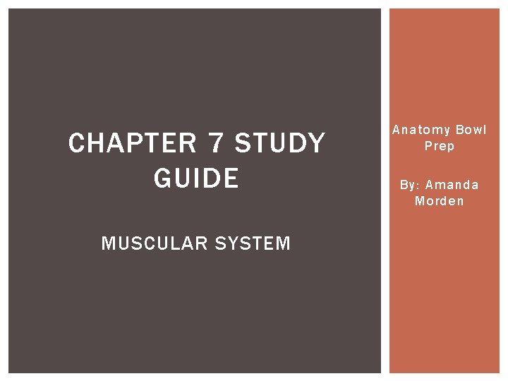 CHAPTER 7 STUDY GUIDE MUSCULAR SYSTEM Anatomy Bowl Prep By: Amanda Morden 