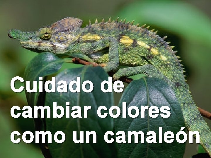 Cuidado de cambiar colores como un camaleón 