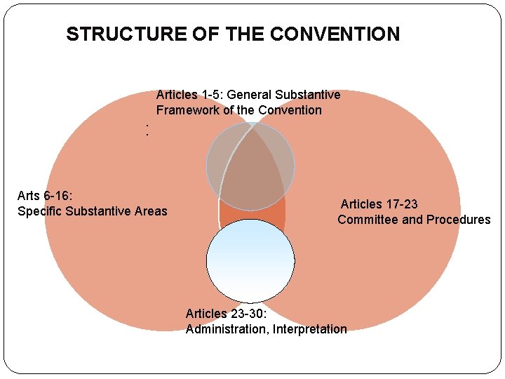 STRUCTURE OF THE CONVENTION Articles 1 -5: General Substantive Framework of the Convention :