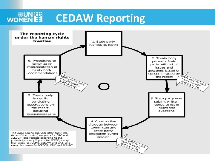 CEDAW Reporting 