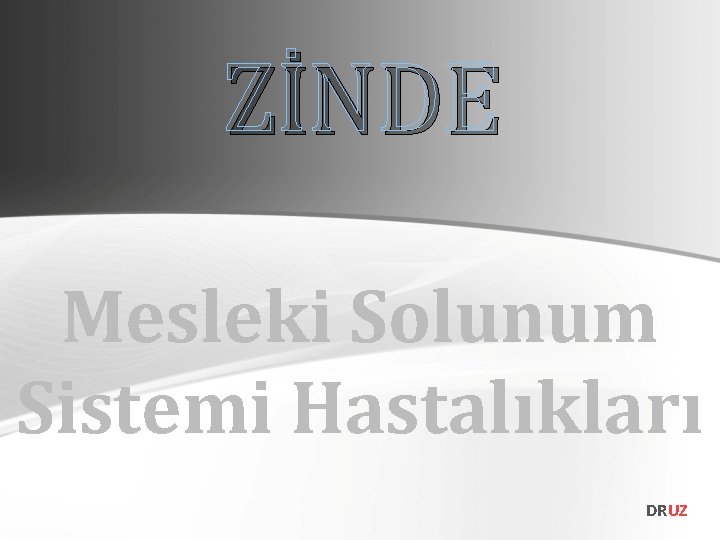 ZİNDE Mesleki Solunum Sistemi Hastalıkları DRUZ 