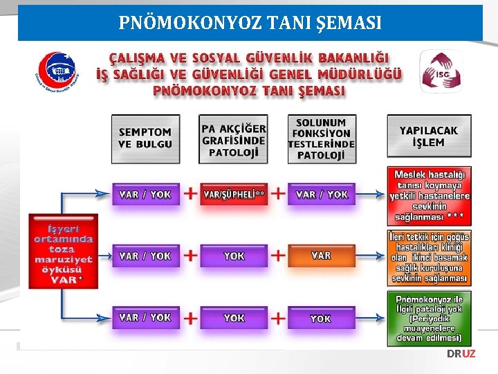 PNÖMOKONYOZ TANI ŞEMASI DRUZ 