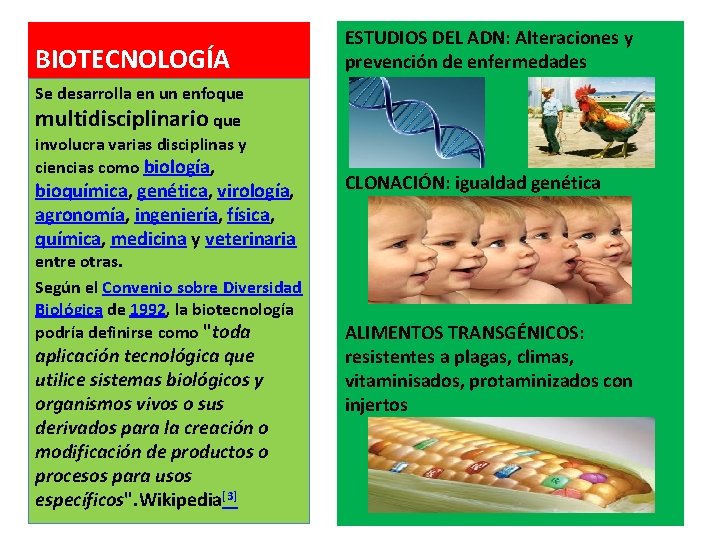 BIOTECNOLOGÍA ESTUDIOS DEL ADN: Alteraciones y prevención de enfermedades Se desarrolla en un enfoque BIOTECNOLOGÍA ESTUDIOS DEL ADN: Alteraciones y prevención de enfermedades Se desarrolla en un enfoque