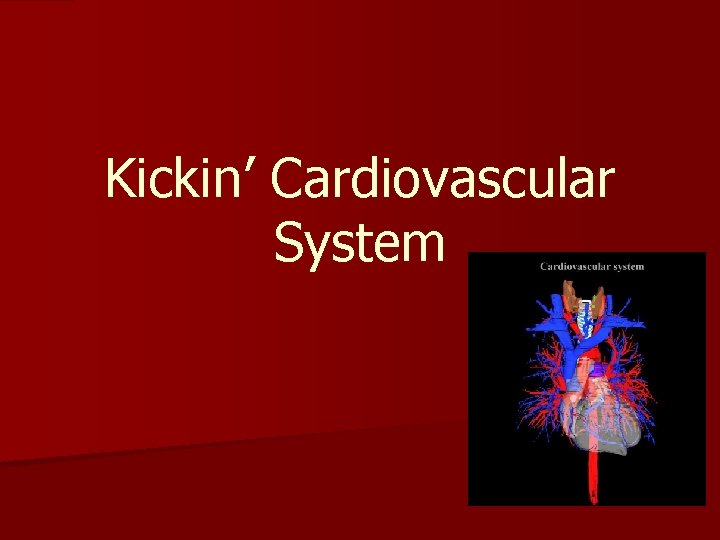 Kickin’ Cardiovascular System 