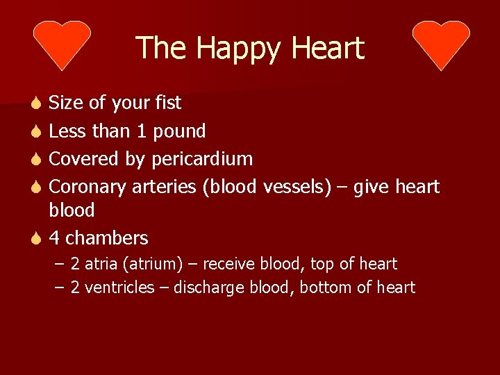 The Happy Heart S Size of your fist S Less than 1 pound S