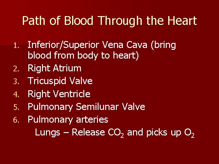 Path of Blood Through the Heart 1. 2. 3. 4. 5. 6. Inferior/Superior Vena