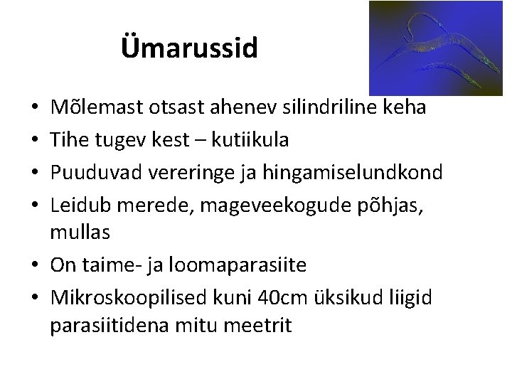 Ümarussid Mõlemast otsast ahenev silindriline keha Tihe tugev kest – kutiikula Puuduvad vereringe ja