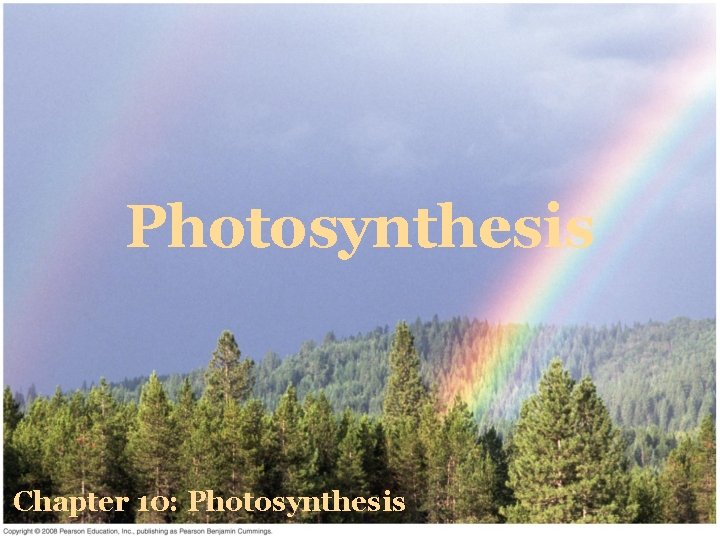 Photosynthesis Chapter 10: Photosynthesis 