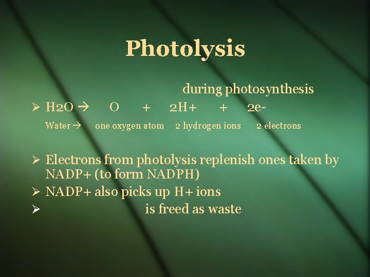 Photolysis H 2 O Water O + one oxygen atom during photosynthesis 2 H+