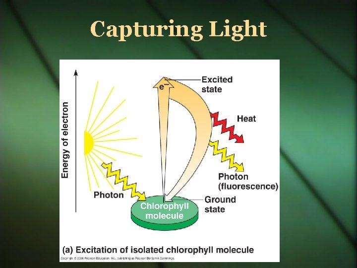 Capturing Light 