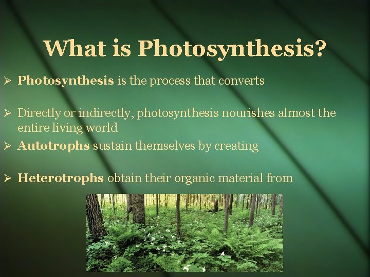 What is Photosynthesis? Photosynthesis is the process that converts Directly or indirectly, photosynthesis nourishes