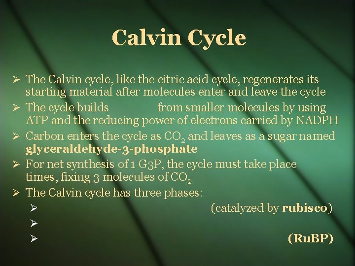 Calvin Cycle The Calvin cycle, like the citric acid cycle, regenerates its starting material