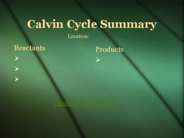 Calvin Cycle Summary Location: Reactants Products Calvin Cycle Summary 