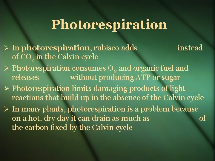 Photorespiration In photorespiration, rubisco adds instead of CO 2 in the Calvin cycle Photorespiration